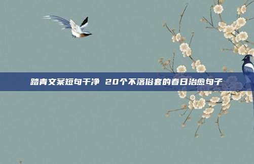 踏青文案短句干净 20个不落俗套的春日治愈句子