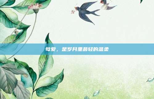 母爱,是岁月里最轻的温柔