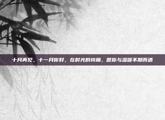 十月再见,十一月你好,在时光的转角,愿你与温暖不期而遇