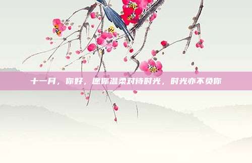 十一月,你好,愿你温柔对待时光,时光亦不负你