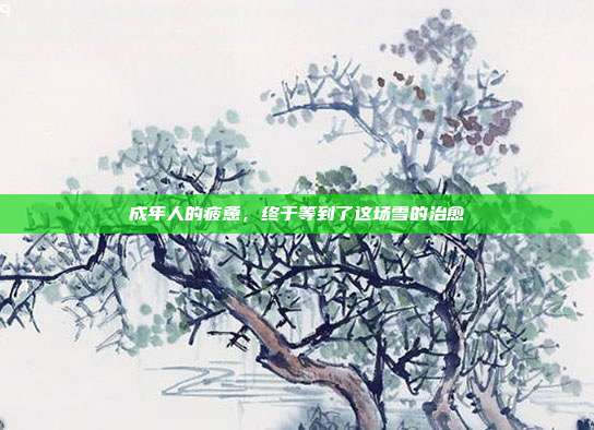 成年人的疲惫,终于等到了这场雪的治愈
