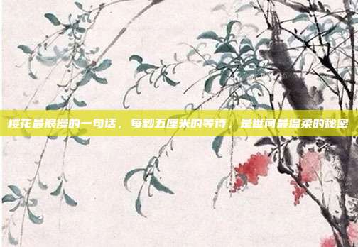 樱花最浪漫的一句话,每秒五厘米的等待,是世间最温柔的秘密