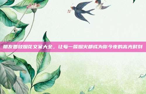 朋友圈放烟花文案大全，让每一簇烟火都成为你今夜的高光时刻