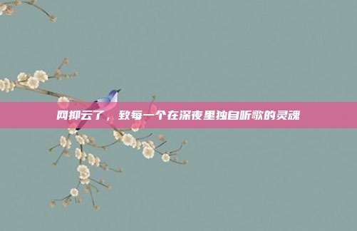 网抑云了,致每一个在深夜里独自听歌的灵魂