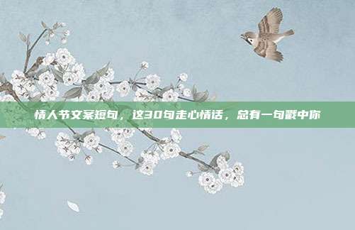 情人节文案短句,这30句走心情话,总有一句戳中你