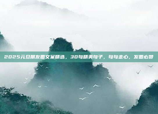 2025元旦朋友圈文案精选,30句精美句子,句句走心,发圈必赞