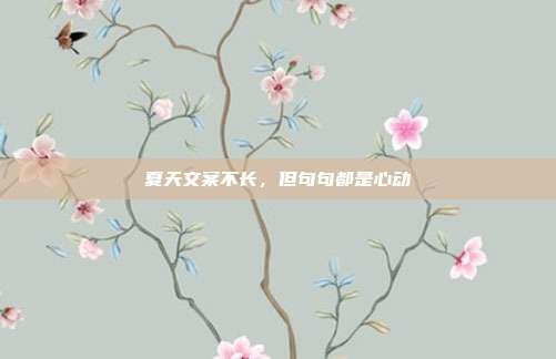 夏天文案不长，但句句都是心动