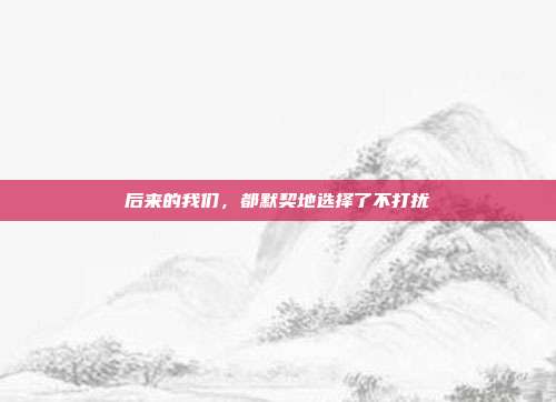 后来的我们,都默契地选择了不打扰