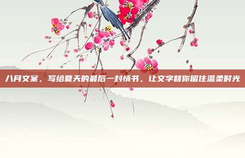 八月文案,写给夏天的最后一封情书,让文字替你留住温柔时光