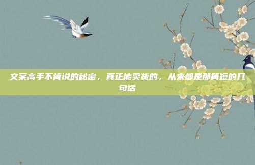 文案高手不肯说的秘密,真正能卖货的,从来都是那简短的几句话