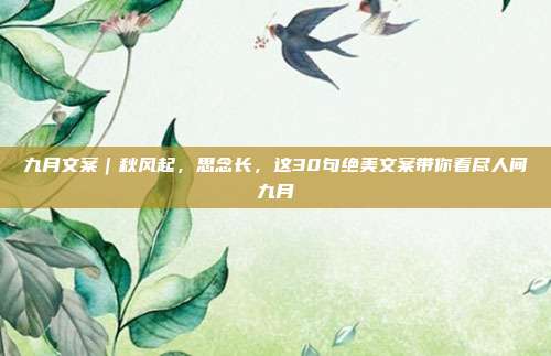 九月文案|秋风起,思念长,这30句绝美文案带你看尽人间九月