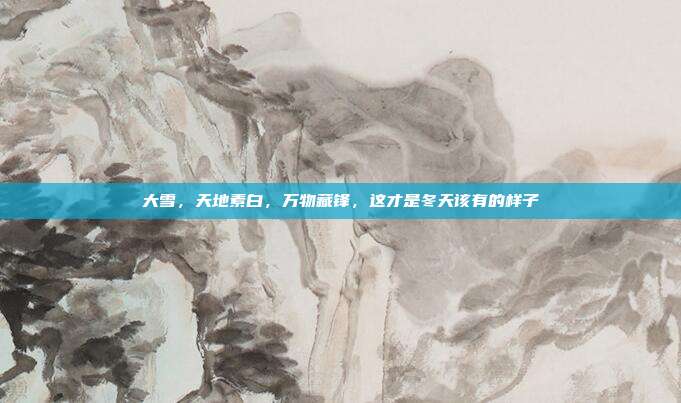 大雪，天地素白，万物藏锋，这才是冬天该有的样子