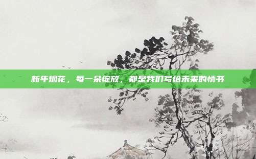新年烟花,每一朵绽放,都是我们写给未来的情书