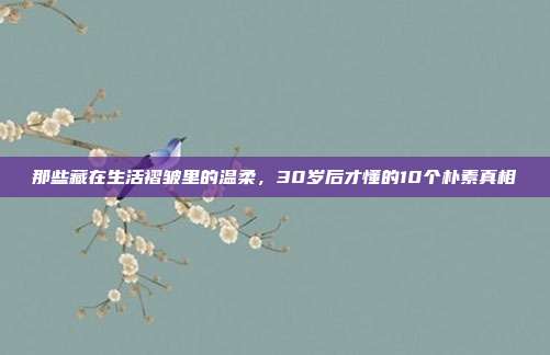 那些藏在生活褶皱里的温柔,30岁后才懂的10个朴素真相