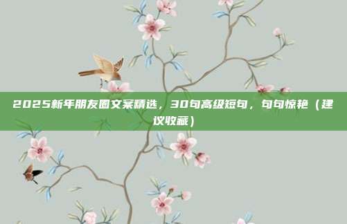 2025新年朋友圈文案精选,30句高级短句,句句惊艳(建议收藏)