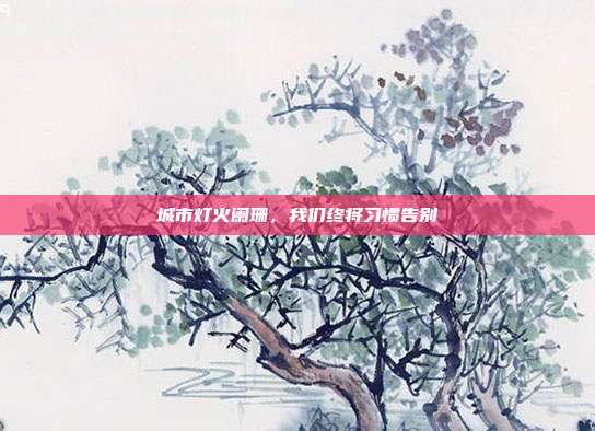 城市灯火阑珊,我们终将习惯告别