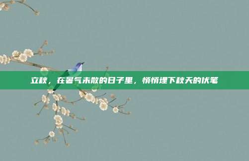 立秋，在暑气未散的日子里，悄悄埋下秋天的伏笔
