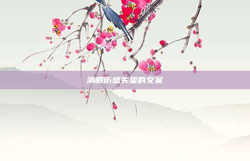 满眼伤感失望的文案