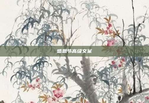 感恩节高级文案