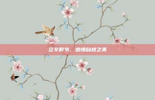 立冬时节，感悟自然之美