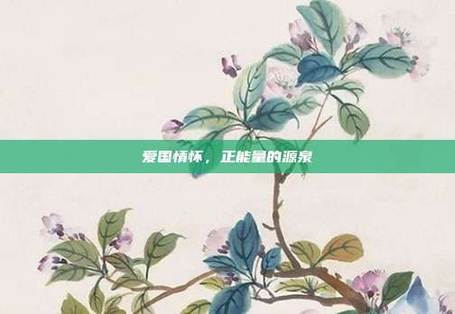 爱国情怀，正能量的源泉