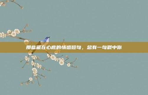那些藏在心底的情感短句，总有一句戳中你