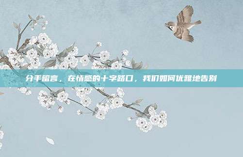 分手留言,在情感的十字路口,我们如何优雅地告别