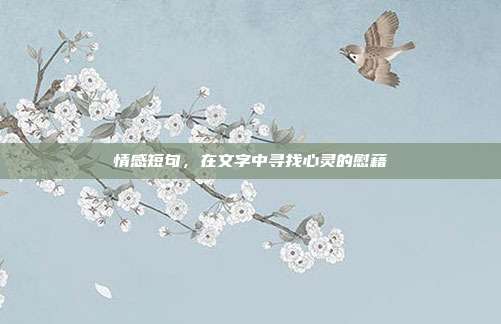 情感短句,在文字中寻找心灵的慰藉