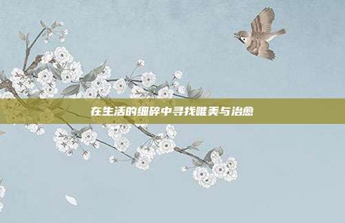 在生活的细碎中寻找唯美与治愈