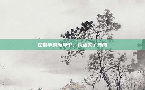 在数字的海洋中,我迷失了方向