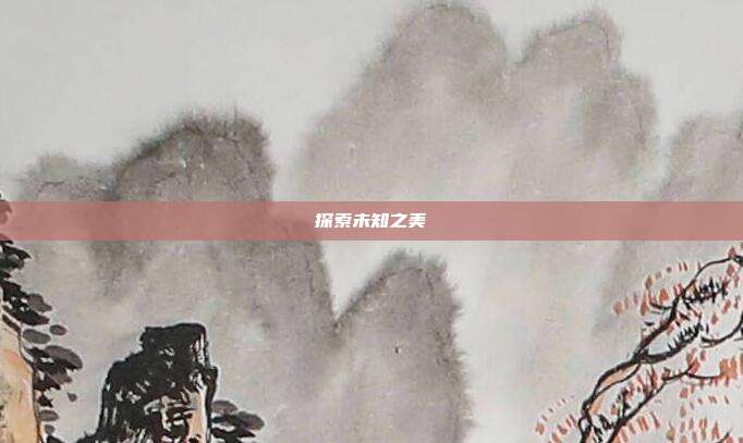 探索未知之美