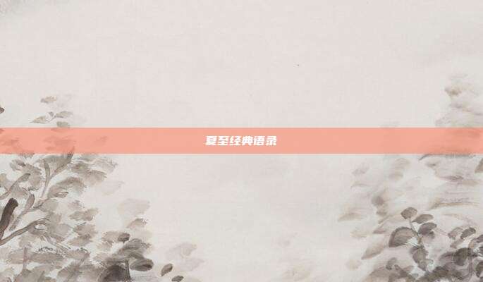 夏至经典语录