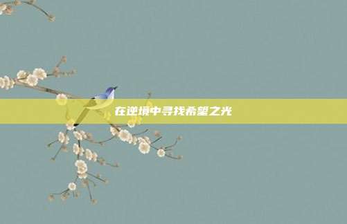 在逆境中寻找希望之光