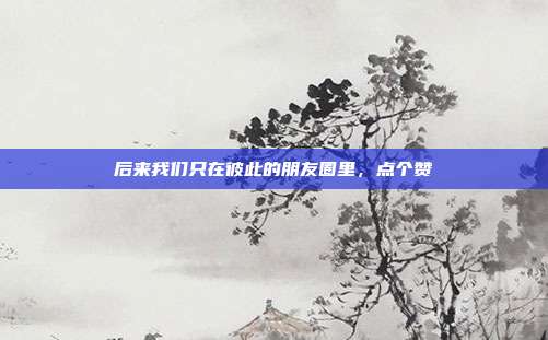 后来我们只在彼此的朋友圈里，点个赞