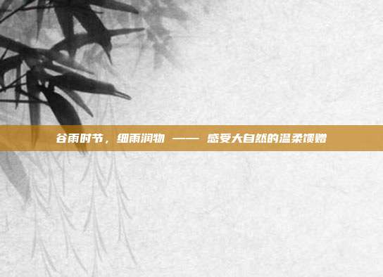 谷雨时节，细雨润物 —— 感受大自然的温柔馈赠