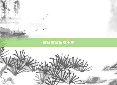 生日文案短句干净