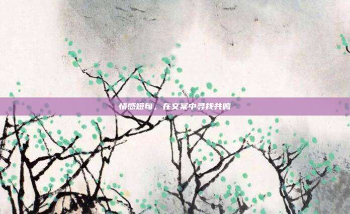 情感短句,在文案中寻找共鸣