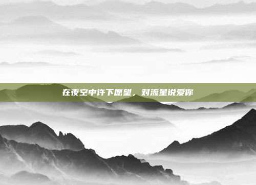 在夜空中许下愿望,对流星说爱你