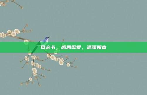 母亲节,感恩母爱,温暖如春