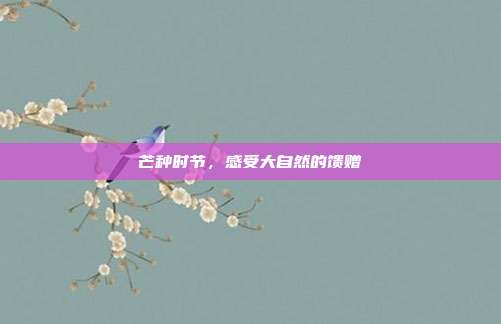 芒种时节,感受大自然的馈赠