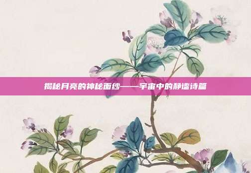 揭秘月亮的神秘面纱——宇宙中的静谧诗篇