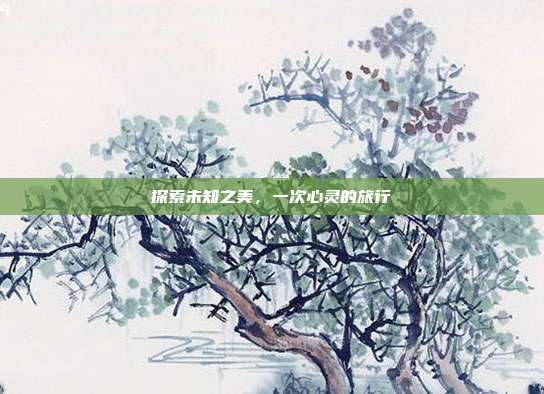 探索未知之美，一次心灵的旅行