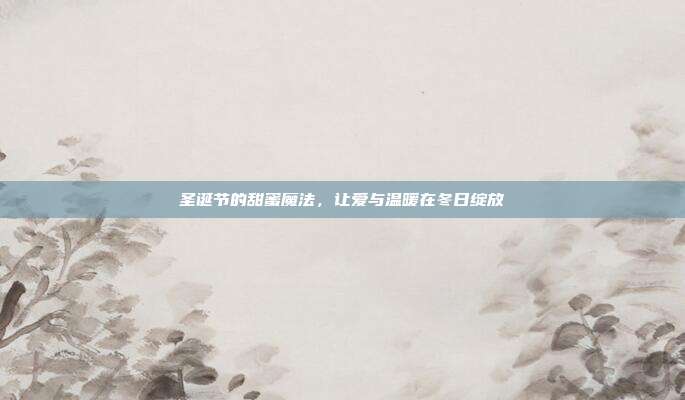 圣诞节的甜蜜魔法,让爱与温暖在冬日绽放