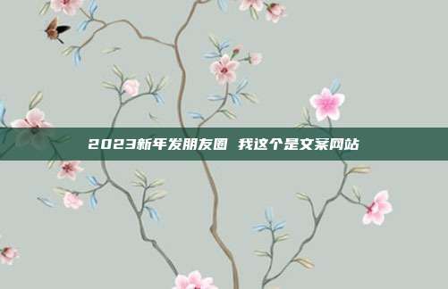 2023新年发朋友圈 我这个是文案网站