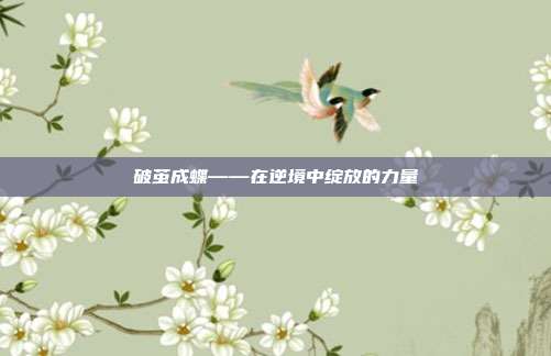 破茧成蝶——在逆境中绽放的力量
