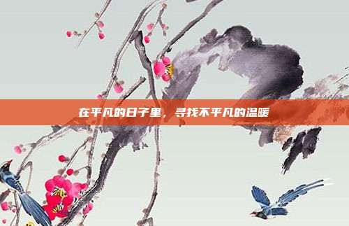 在平凡的日子里，寻找不平凡的温暖