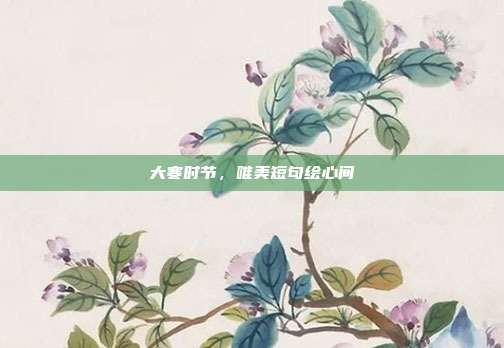 大寒时节,唯美短句绘心间