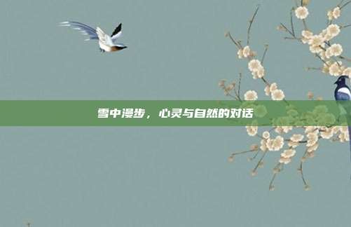 雪中漫步,心灵与自然的对话