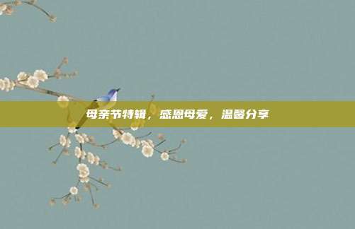 母亲节特辑,感恩母爱,温馨分享