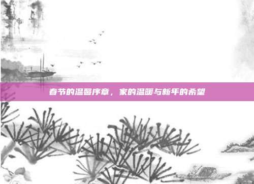春节的温馨序章,家的温暖与新年的希望